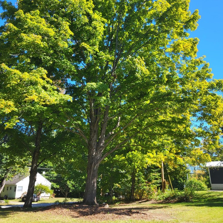 Picture 6