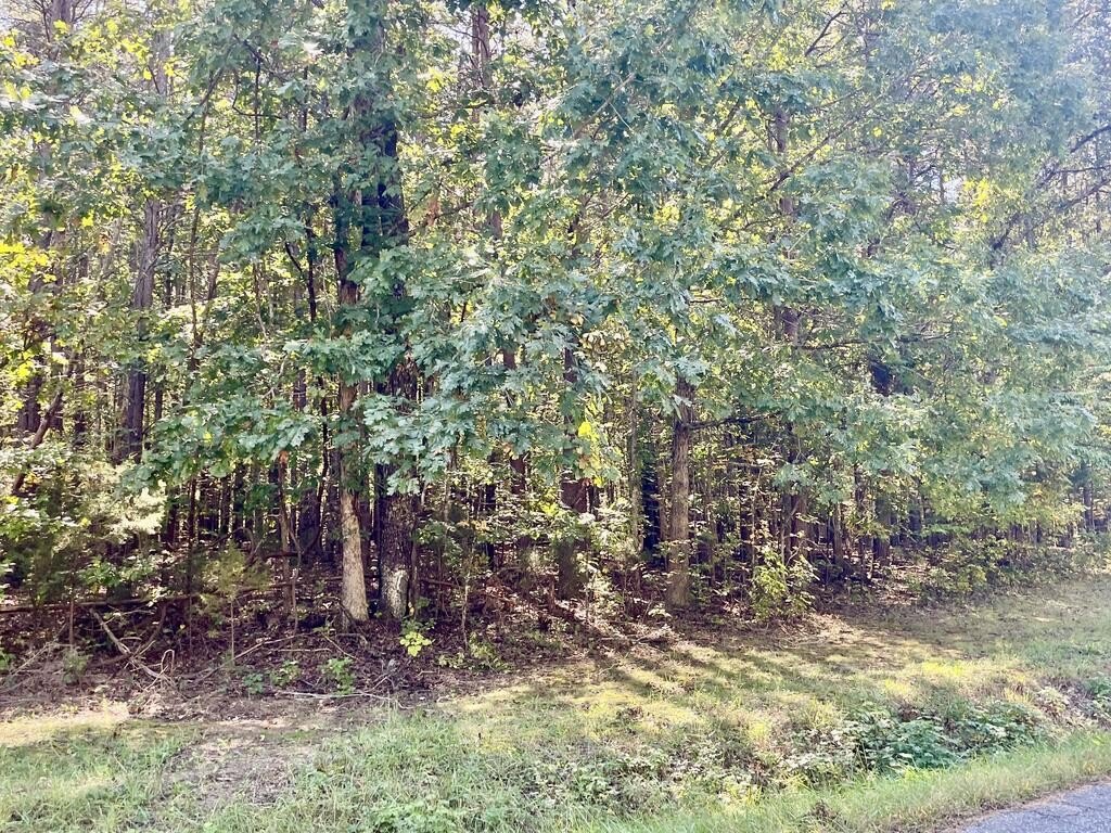 Picture 3