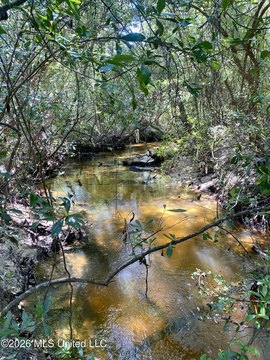 LAND - Wiggins, MS
