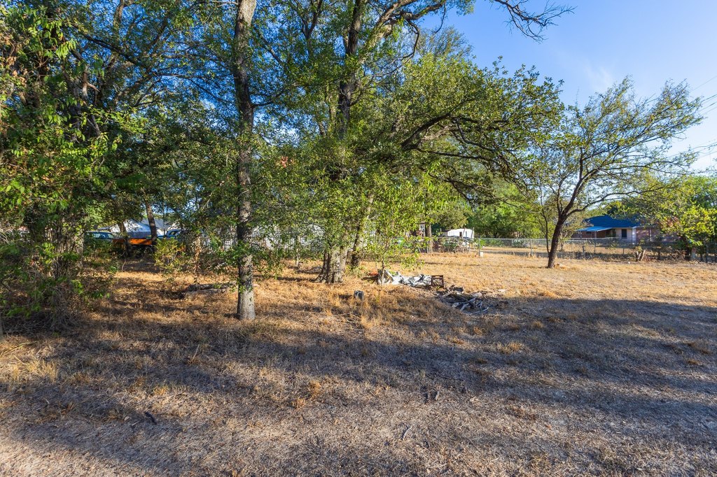 Picture 21