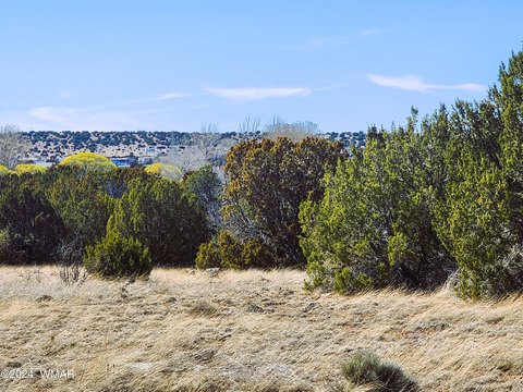 Residential Lot in Concho, AZ