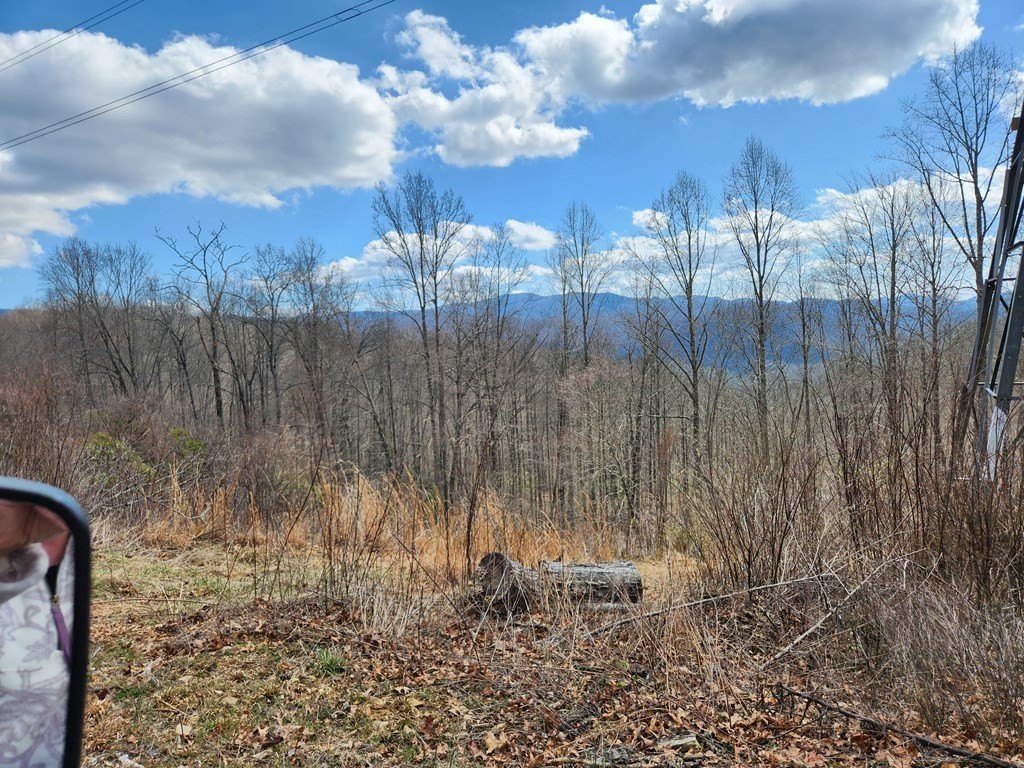 Picture 7
