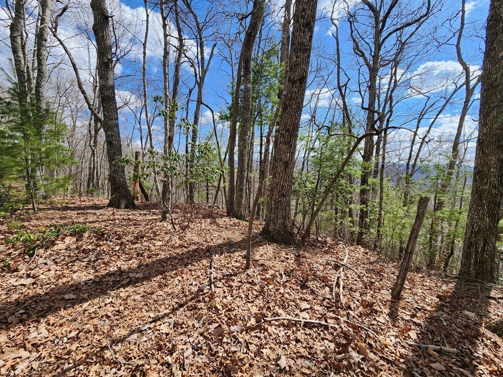 Picture 23