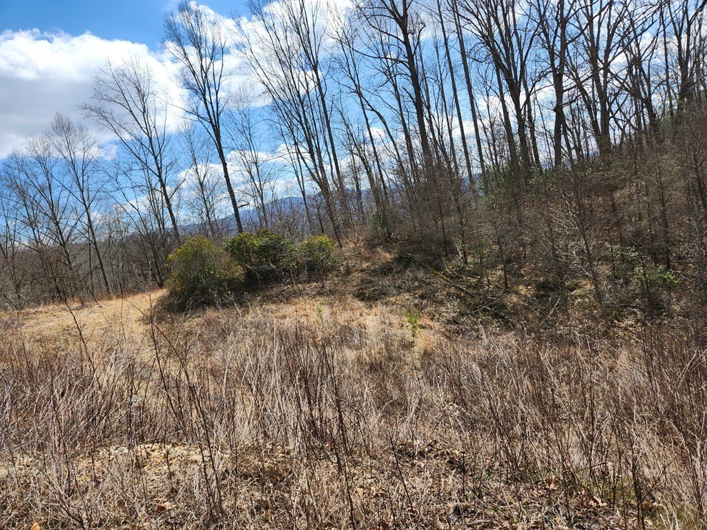 Picture 4