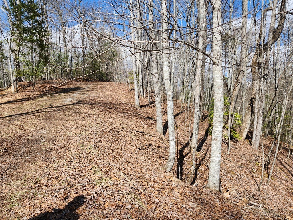Picture 15