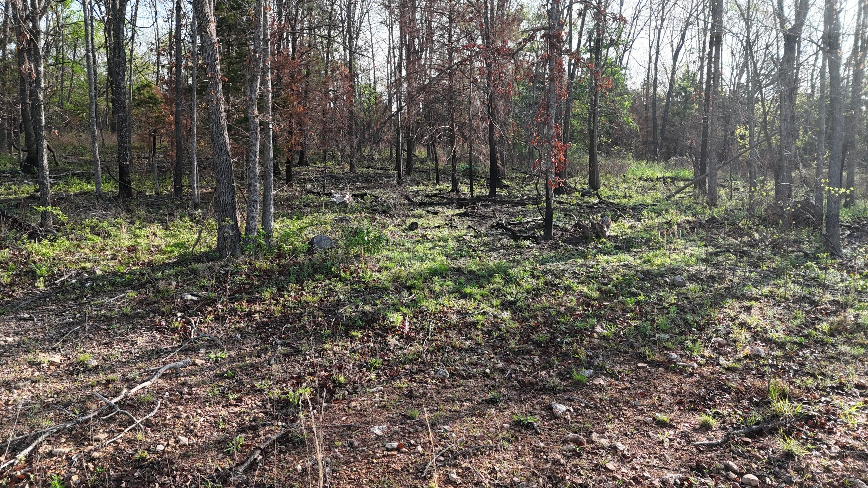 Hartville, MO Land For Sale