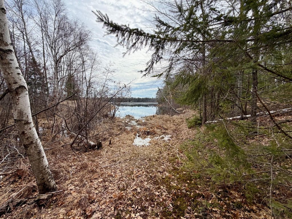 Picture 21