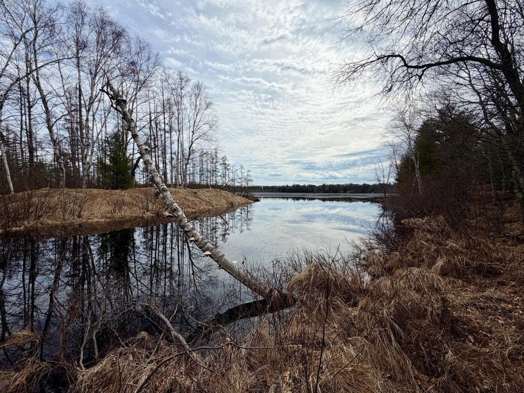 Picture 18