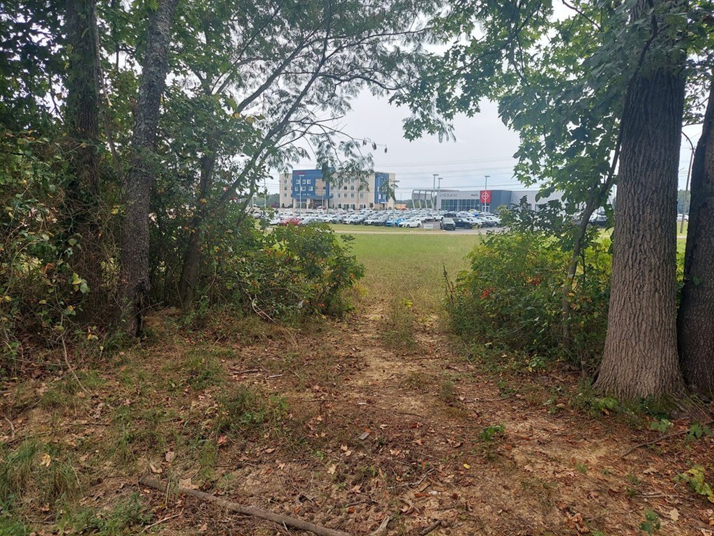 Picture 4