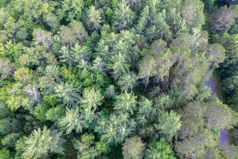 Eagle River Acreage for Sale