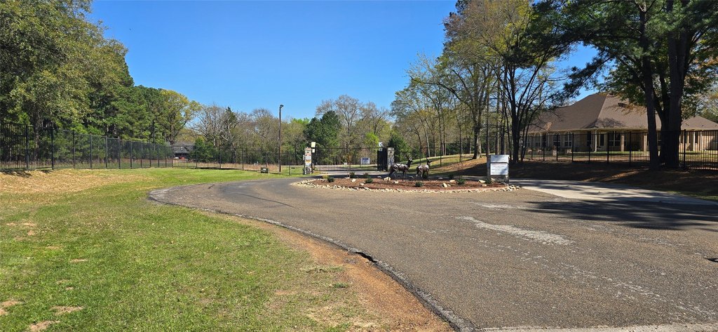 Picture 4