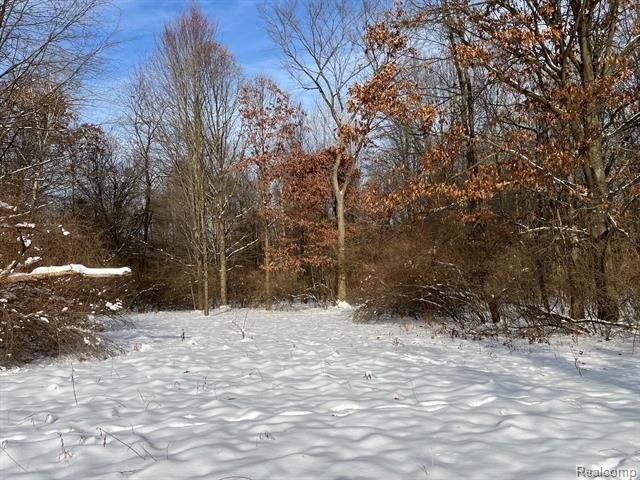 Residential Land in Deerfield Township