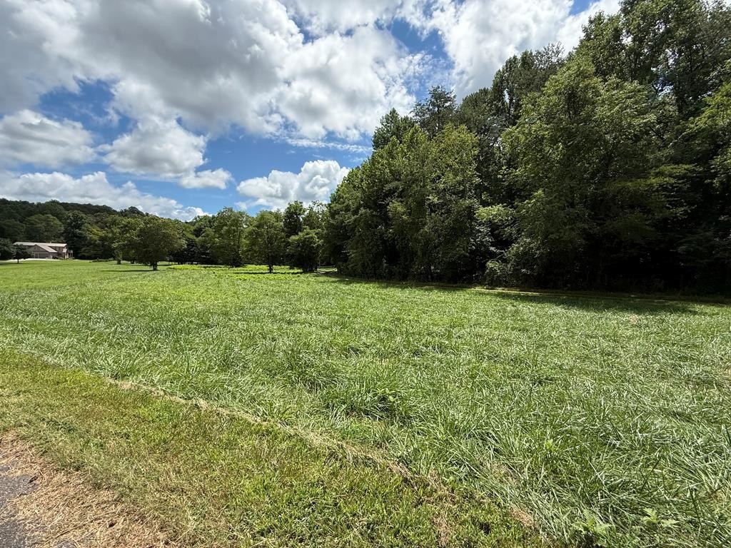 Nottely Riverfront Vacant Lot