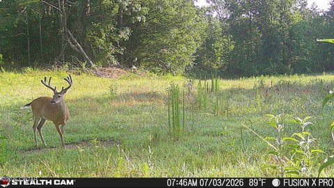 Hunting Land with Stocked Pond