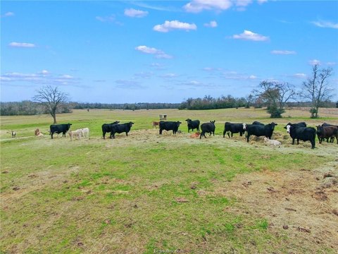 21.72 Acres in Iola, TX
