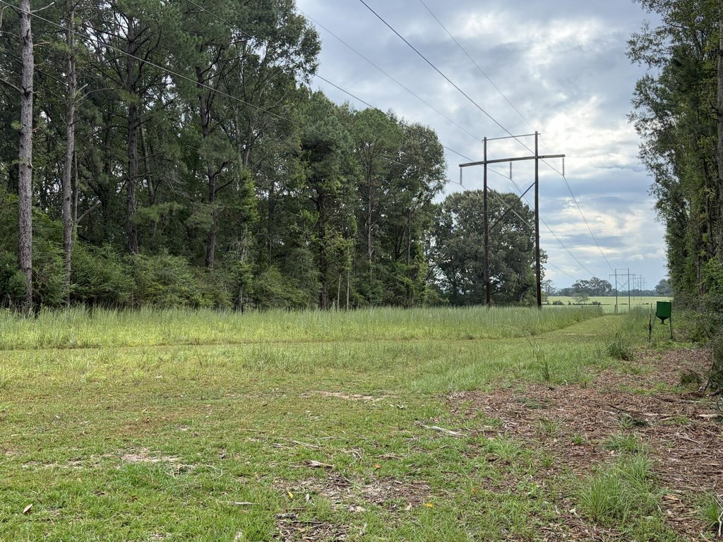 Picture 21