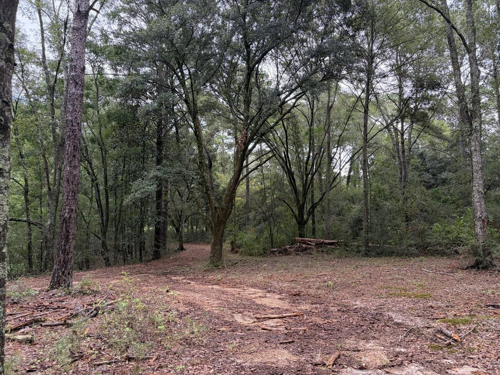 Picture 20