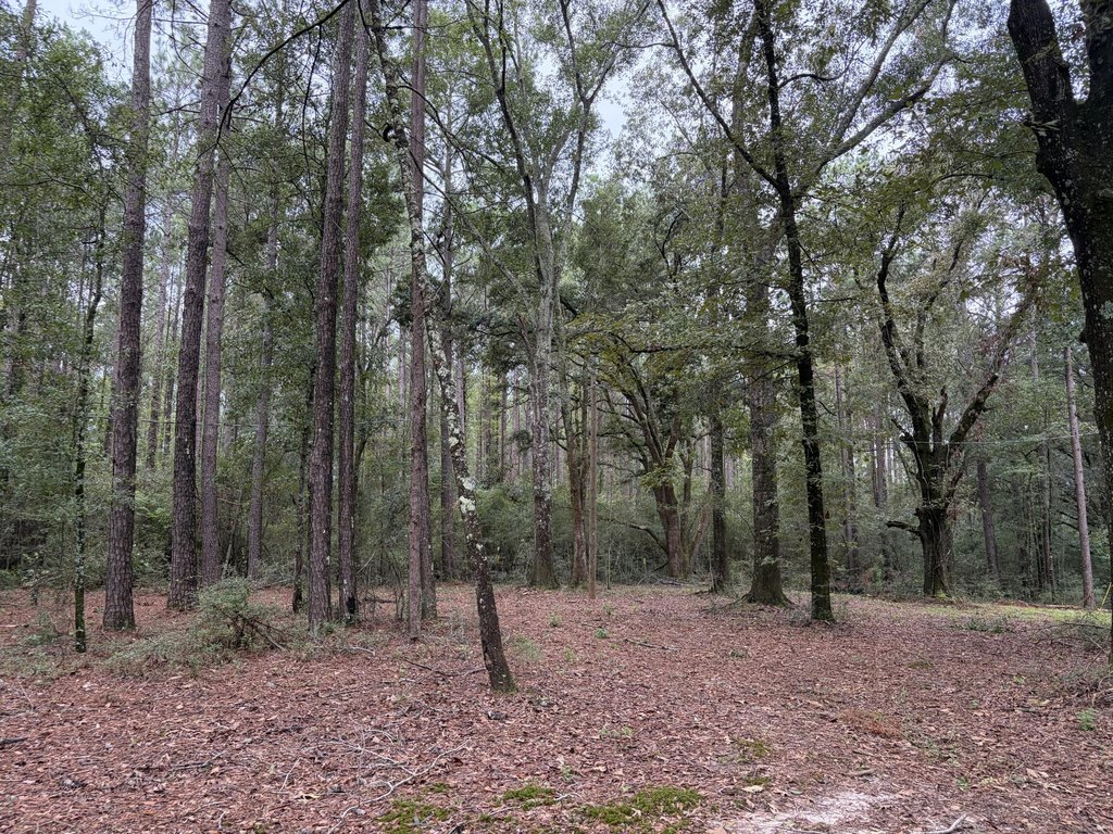 Picture 23