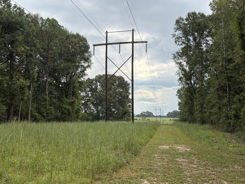 Picture 22