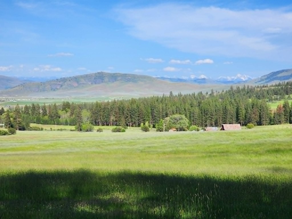 Picture 27