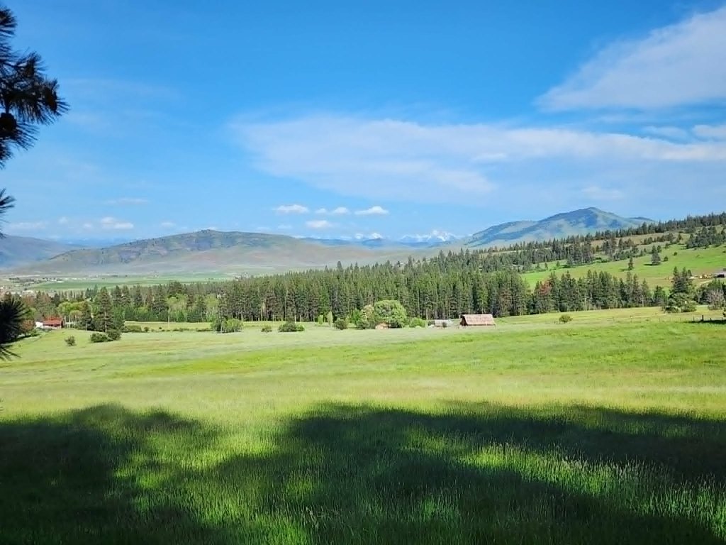 Picture 30