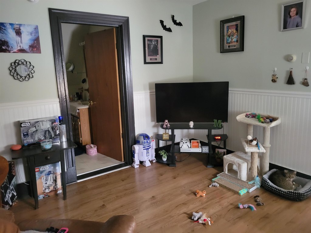 Picture 25