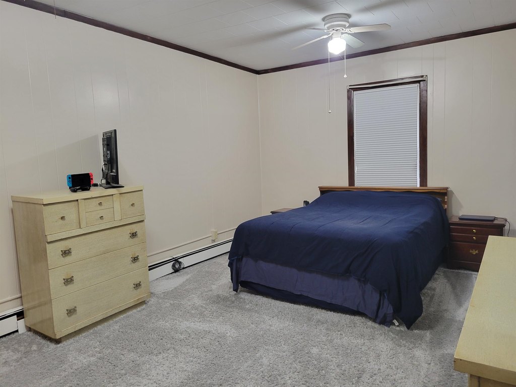 Picture 12