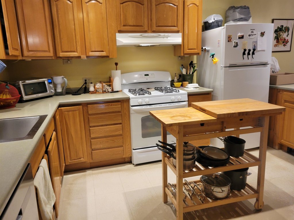 Picture 4