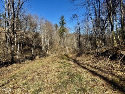 Mountain Land Near Boone, NC
