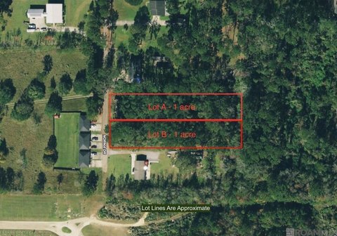 Denham Springs Commercial Land