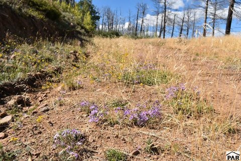 Land, Fort Garland, CO