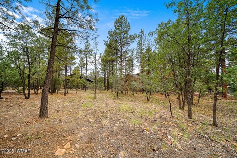 Torreon Homesite in Show Low