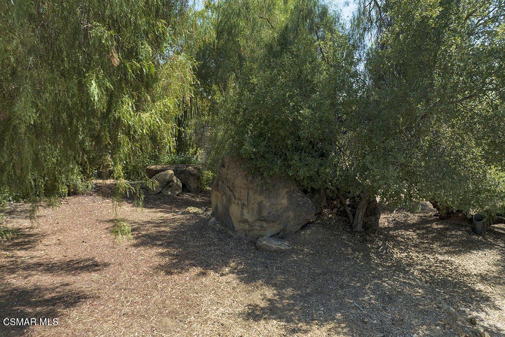 Picture 27