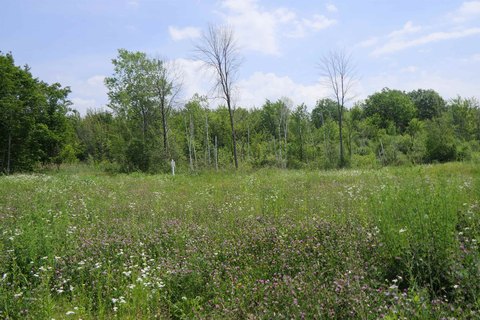 Cleared Homesite Land Parcel