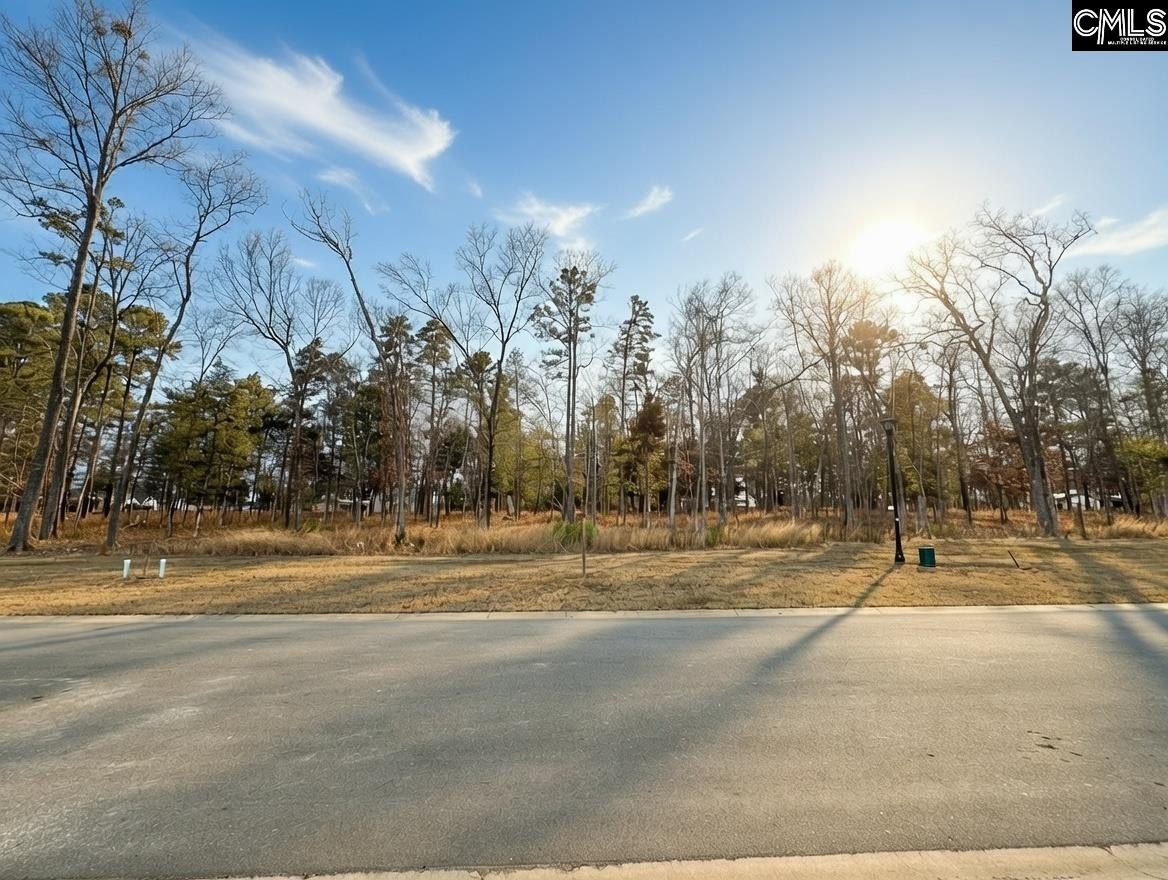 Homesite in Lakefront Community