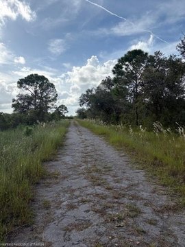 LAND - Lake Placid, FL