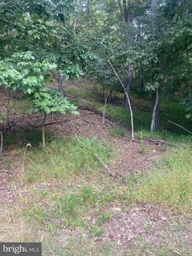 Lake Holiday Wooded Lot