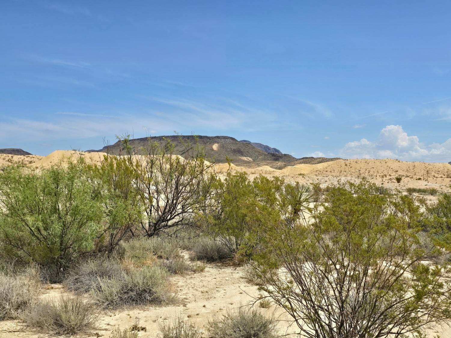 40 Acres Vacant Land Terlingua