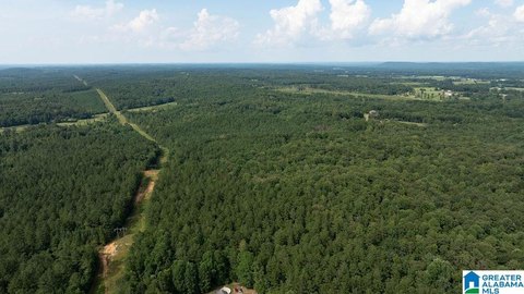 Flat to Gently Rolling Land Tract