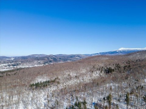 Forestry Land Parcel
