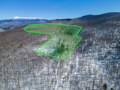 Wooded Recreational Land Parcel