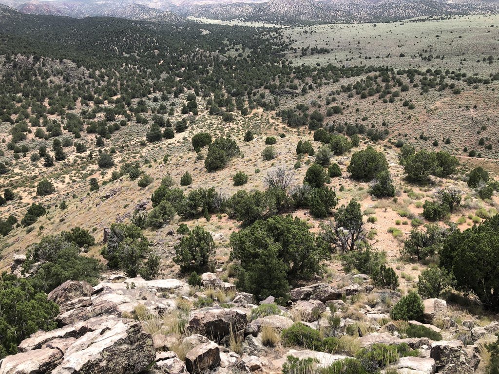 Picture 25