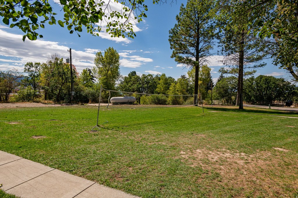 Picture 42