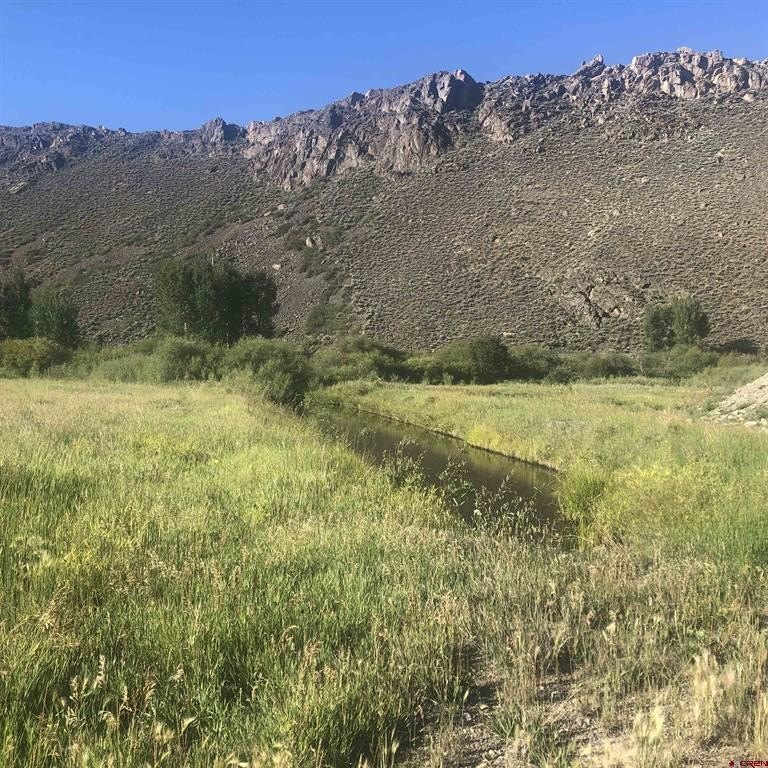 Picture 23