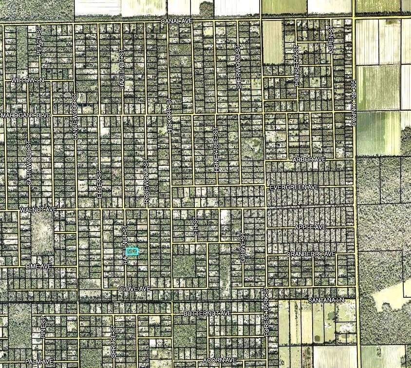 Picture 3