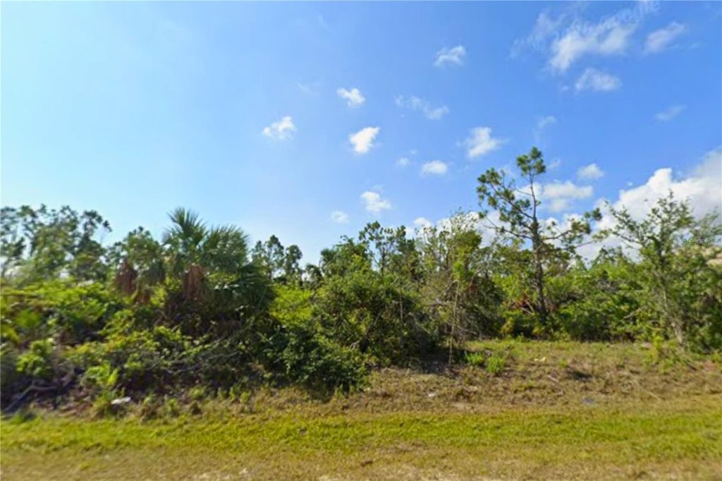 Picture 6