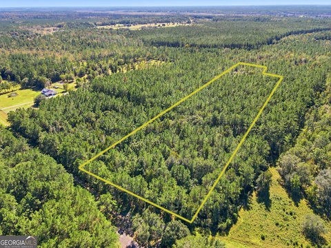 Waverly, GA Land Opportunity
