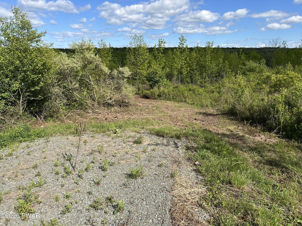 Picture 8