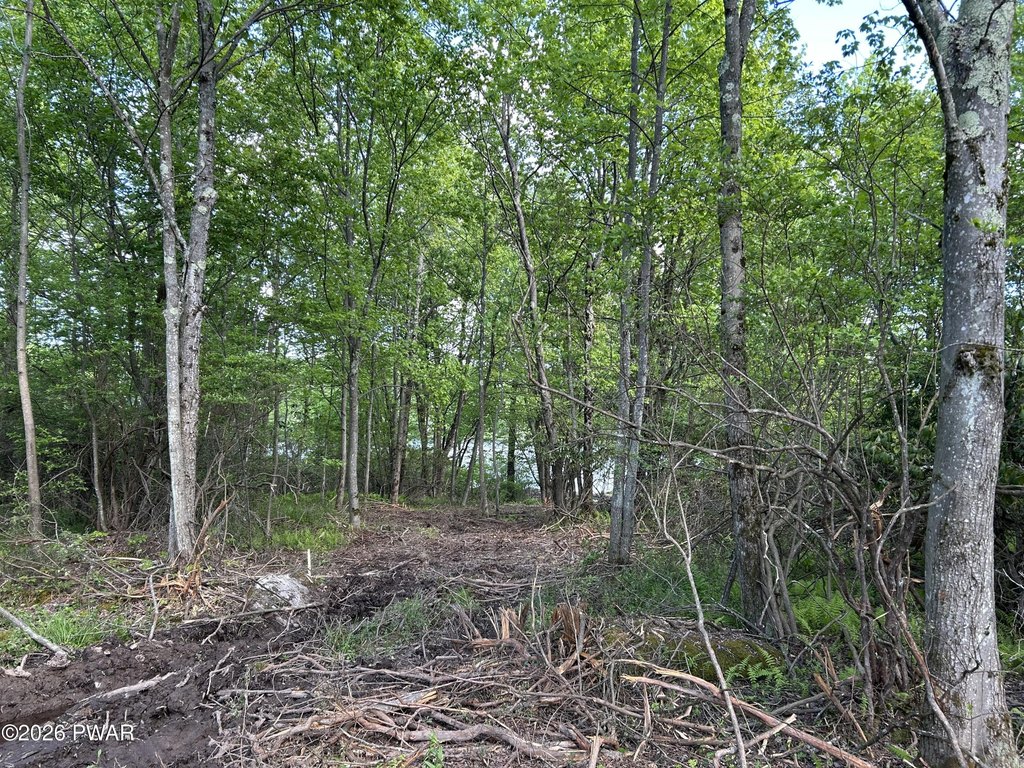 Picture 14