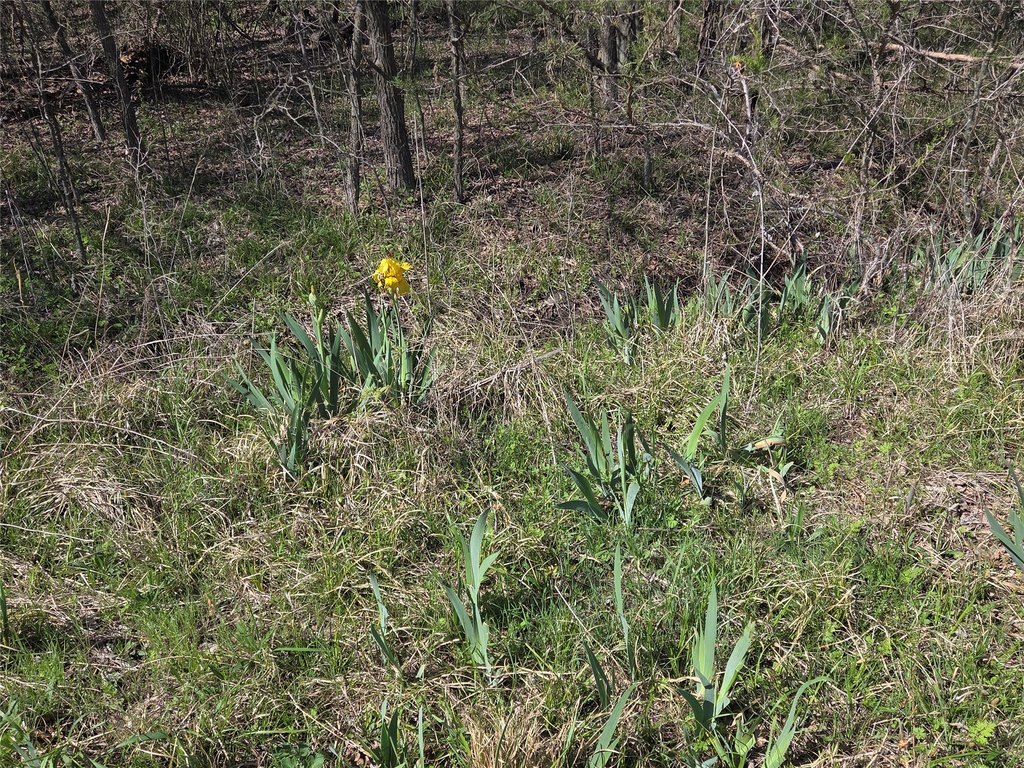 Picture 20